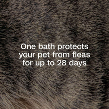 Load image into Gallery viewer, arreglo-34635776
