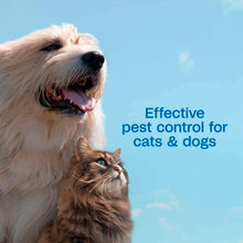 Load image into Gallery viewer, arreglo-34635777
